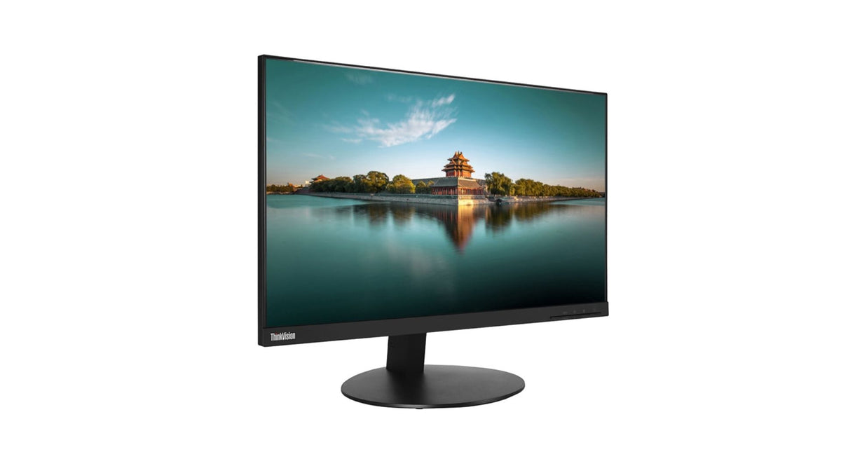 Monitor Lenovo ThinkVision T24i-10 24 pollici Full HD IPS (1920x1080) - Ingressi VGA, HDMI, DisplayPort - Buono