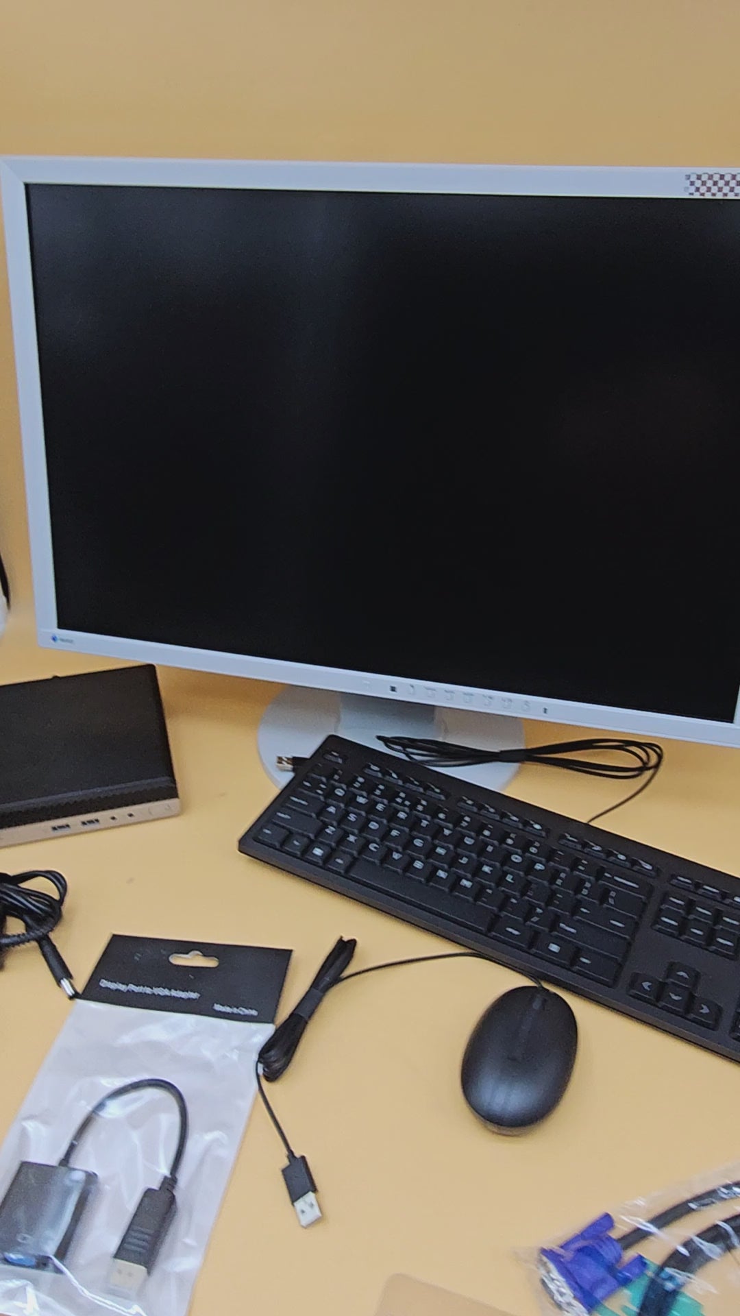Postazione Completa Monitor EIZO 24" + Mini PC HP 400 G3 I5 8GB 256GB Win 11 Pro